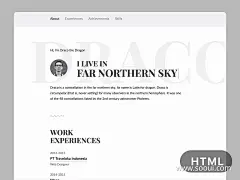 德拉科简历模板UI设计作品网页设计数据可视化首页素材资源模板下载