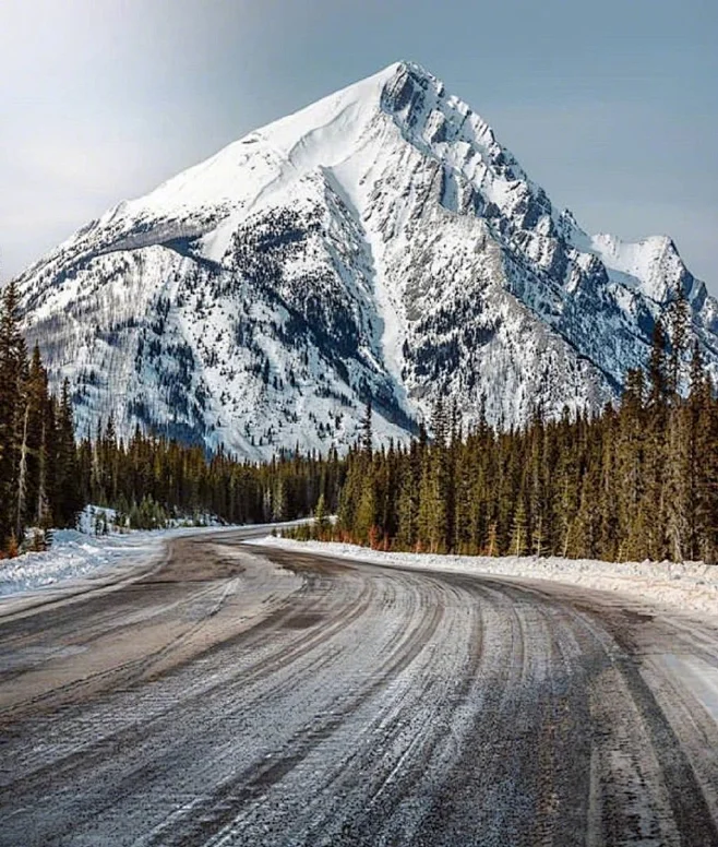 素材（色彩 大背景）内的花瓣采集图片-Sunday安安☀️