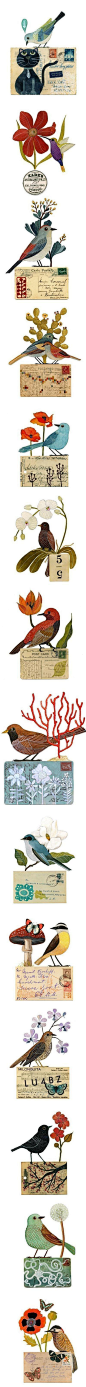 纸品设计：#纸品设计# XIUcAt插画赏——鸟的盛宴明信片