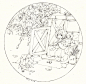 小枣子  的插画 花下小憩-线稿