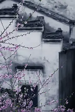 花落岂知容颜老，春来春去还复来，怎晓春光无限好。