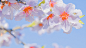 赫莱艺 - 图虫网 - 优质摄影师交流社区