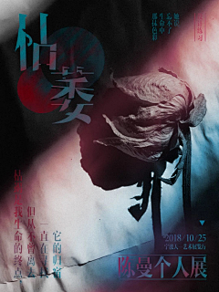 叽里呱啦啦啦采集到收藏