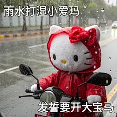 HelloKitty｜打工人下雨天上班表情包 - 小红书