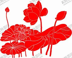 荷花 【酷图网】荷花,花,莲花,清廉,青莲,白莲花,莲子,荷叶,