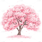 插画手绘樱花树免抠元素