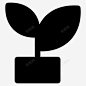 植物叶子植物盆栽 UI图标 设计图片 免费下载 页面网页 平面电商 创意素材