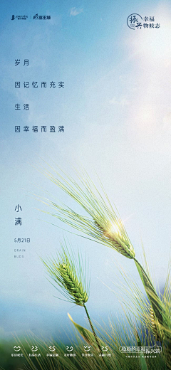 可珂柯采集到小满