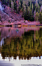  渔夫与瀑布 - 东山脉，猛犸湖，加利福尼亚州