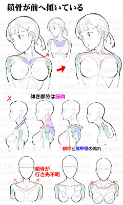 freenil采集到速写