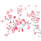 春天 花朵 植物 桃花 PNG素材