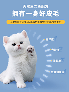 jt建明采集到卖点-猫咪