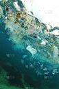 海洋塑料污染