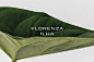 Florenza Ilha | Visual Brand : Florenza Ilha is a high standard residential condominium that prioritizes the tranquility of the residents and the experience of contact with nature that is located in Rio de Janeiro, on Guaratiba Island.The island of Guarat