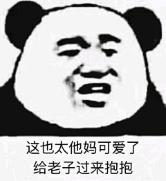 懒猪一个采集到表情包