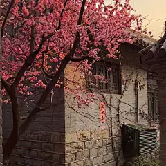 背景图 - 高清图片，堆糖，美图壁纸兴趣社区