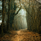 SomeTimes
by Oer-Wout in Wandering in the Woods