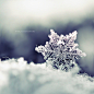 一切有消融.......Mysterious Snowflake【nnIKOO】微距摄影_恩赞De阿卡娜色擦_新浪轻博客_Qing|轻松分享你的兴趣