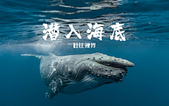 小丑巴基采集到/生物/大鱼