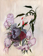 美国插画家Liza Corbett昆虫植物系列插画设计欣赏