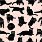 猫,黑色,四方连续纹样,可爱的,宠物,图像,性格,动物,矢量,剪影