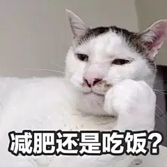 你的表情包来了。。。。