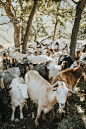 bianca-ackermann-1CjTWVqg3c8-unsplash
