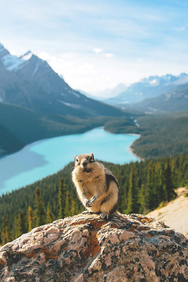 lsleofskye:

Peyto L...