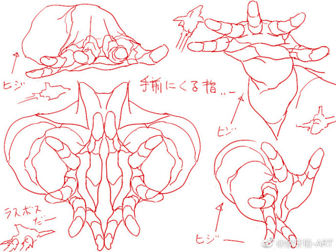 #速写参考# 不会画手的童鞋看这里 非常...