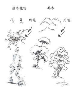 清翎er采集到景观手绘