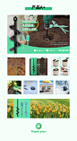 亚马逊产品--园艺钻头 主图及A+页