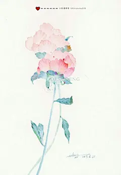 水彩花卉手绘插画水彩教程花朵壁纸头像小清新治愈 | 小熊猫课堂 - 原创作品 - 涂鸦王国插画