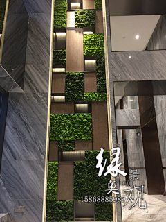 •俊風•采集到植物墙