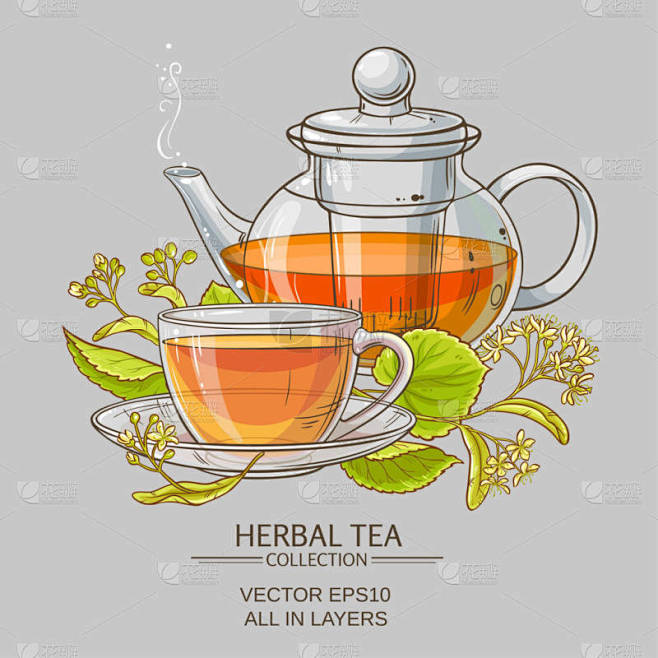 林登茶矢量图