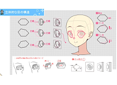 Ruoook斯塔采集到肌肉Body