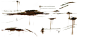Feature_C_129