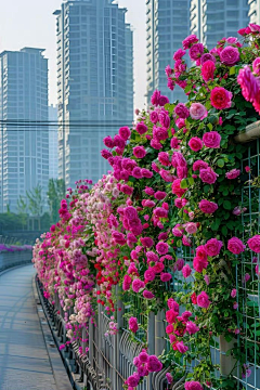 滚滚来采集到背景