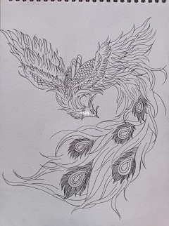 生生不息644采集到花鸟