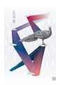 寻声鸟创作--台湾特有鸟类海报设计_ 艺术中国
