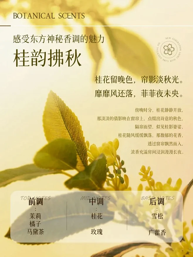 拼多多