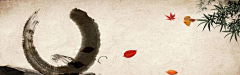 小小盾立采集到banner