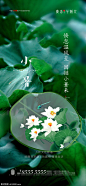 源文件下载 地产小暑海报 地产 小暑 海报 微信 中式 节气  地产广告 节日