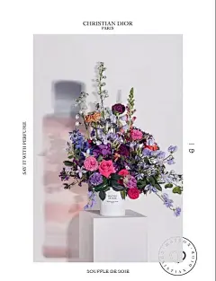 DIOR迪奥Les Parfums香氛之旅