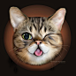 Lil Bub by ThreshTheSky
