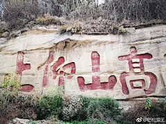 巴松狼王的照片 - 微相册