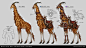 魔兽玩家实力脑洞设计：最高坐骑！斑纹长颈鹿 - 魔兽世界