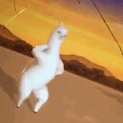 求这个小羊驼的全部表情包！_表情包吧_百度贴吧