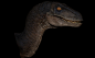 Indoraptor , W.rex Vanwijmelbeke