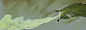 2c1f8d35e5dde71146b71bc9e1efce1b9d166122.jpg (1920×660)