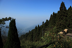 水公采集到井冈山   J